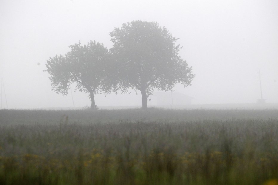 Fotografija: V ponedeljek zjutraj bo po nižinah megleno. FOTO: Mavric Pivk 
