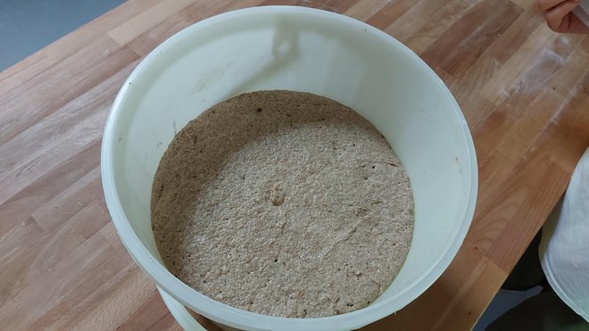 Le levain ou levure mère est préparé dans une petite boulangerie à partir de farine de seigle maison.