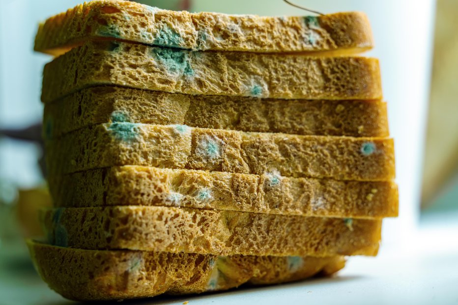 Fotografija: Plesen na kruhu prepreči pravilno shranjevanje v posebni
posodi ali v zamrzovalniku. FOTO: Tatiana Stepanishcheva/Getty Images
