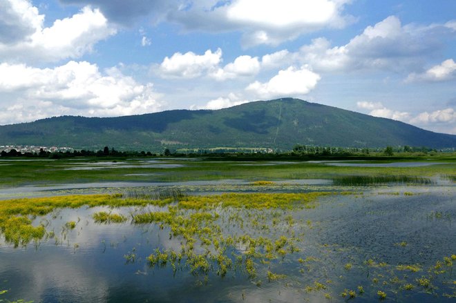 Presihajoče jezero je svetovna posebnost. Foto: Primož Hieng

