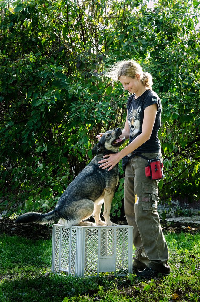 Katja Kajzer je nova voditeljica tečajev za prostovoljne sprehajalce psov. FOTO: ZAVETIŠČE LJUBLJANA
