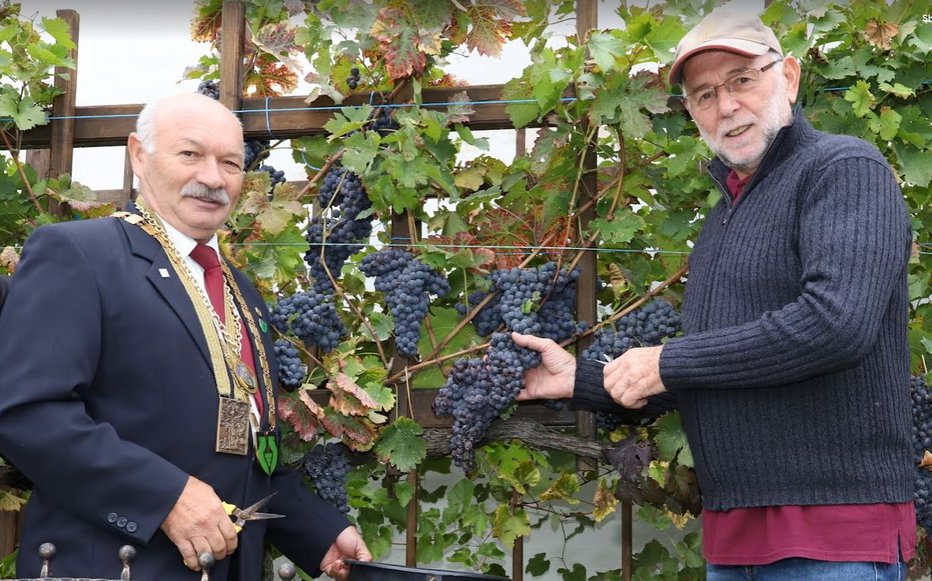 Fotografija: Bivši in sedanji predsednik društva, Borak in Farasin, sta ponosna na letošnji pridelek.
