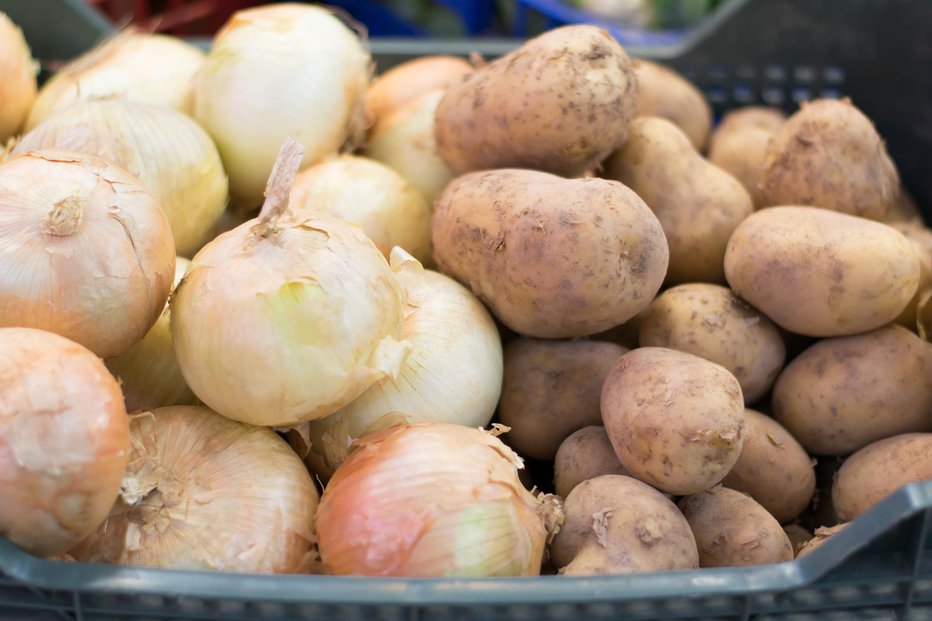 Fotografija: Čebula in krompir v kleti nista najboljša soseda. FOTO: Besilvestre/Gettyimages
