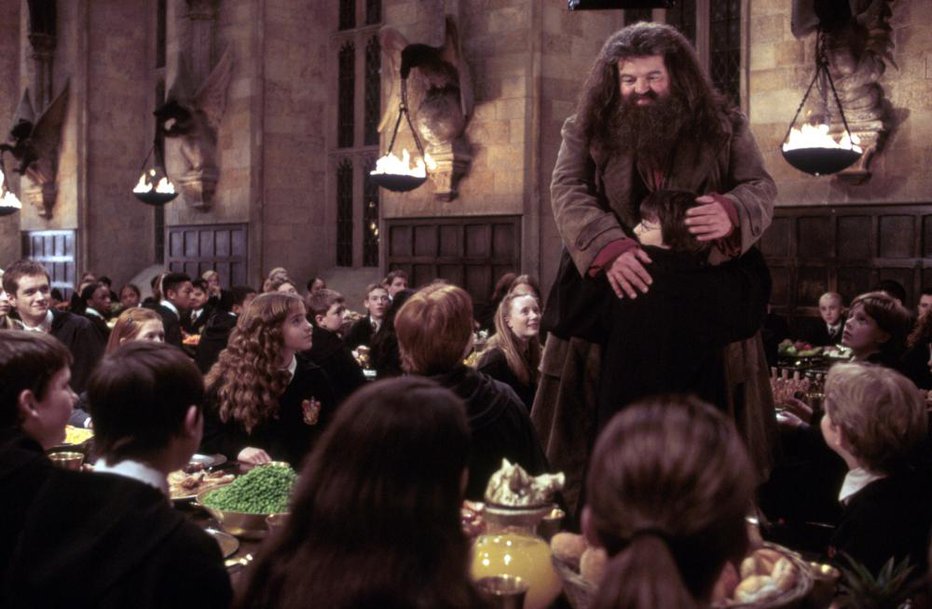 Fotografija: Med snemanjem Harryja Potterja so se po njegovi zaslugi vsi počutili kot velika družina. FOTO: press
