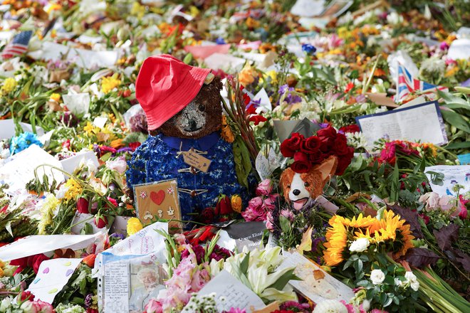 Plišasti medvedki so postali simbol žalovanja za priljubljeno monarhinjo. FOTO: Maja Smiejkowska/Reuters
