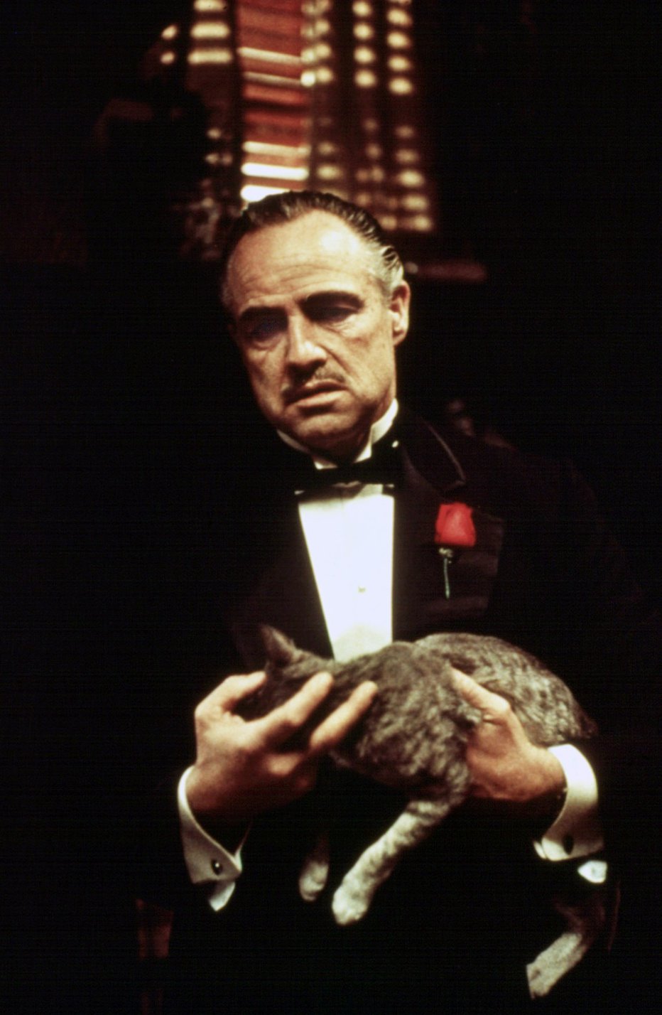 Fotografija: Maček, ki ga je Brando v prvem prizoru držal v naročju, je bil najdenček na snemanju, ni bil del zgodbe, a je tako glasno predel, da so morali igralčeve vrstice posneti posebej.
