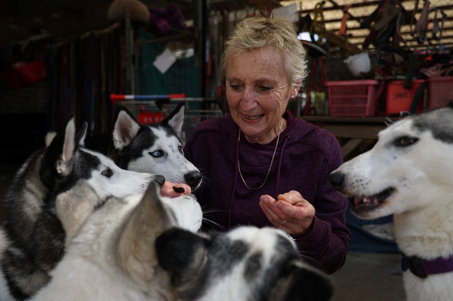 Fotografija: Upravnike zavetišč skrbi, kako bodo poskrbeli za vse živali. FOTO: Loren Elliott, Reuters
