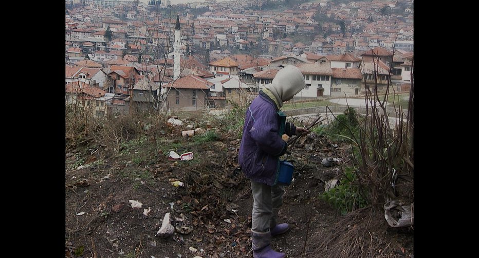 Fotografija: Celovečerni dokumentarni film Sarajevo safari so nedavno predvajali v Cankarjevem domu. FOTO: CD
