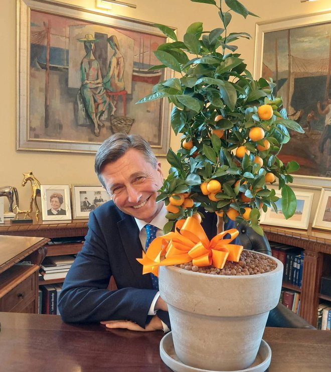 Sodelavke so mu kupile mandarino. FOTO: Instagram

