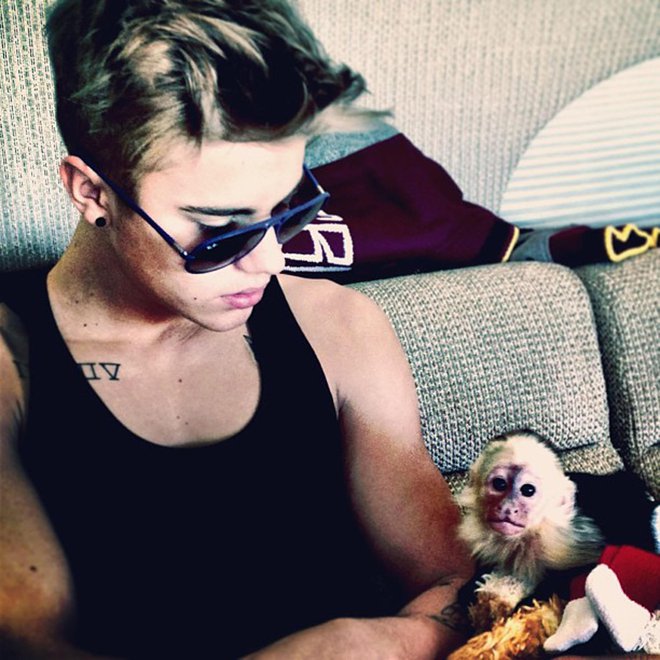 Ostal je brez opice

Za 19. rojstni dan je Justin Bieber v dar dobil opico kapucinko z imenom OG Mally. Pred desetimi leti jo je vzel s seboj v München, kjer pa so mu jo zasegli, ker ni imel ustreznih dokumentov o skrbništvu. Pevec se je domov vrnil brez nje, za OG Mally pa so našli prostor v živalskem vrtu.
