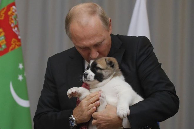 Fotografija: Putin s psom pasme alabai, ki mu ga je podaril turkmenistanski predsednik. FOTO: REUTERS
