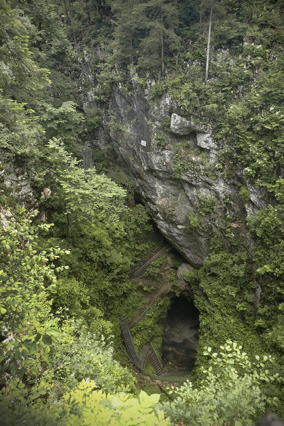 Fotografija: Vhod v Pivko jamo. FOTO: Uroš Hočevar 
