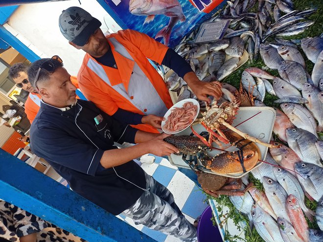 V ribiški in letoviški Essaouiri smo si štirje člani odprave privoščili trikilskega jastoga, kilogram in pol težko rakovico, ribe in pladenj kozic. Cena: skupaj s krompirjem, solato in kokakolo 25 evrov na osebo. FOTO: Domen Mal
