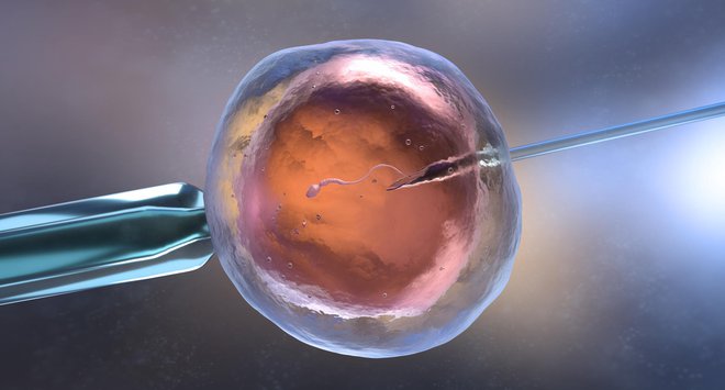 Starost zarodka po oceni strokovnjakov ne vpliva na poznejše življenje ali zdravje otroka. FOTO: Ilexx, Getty Images
