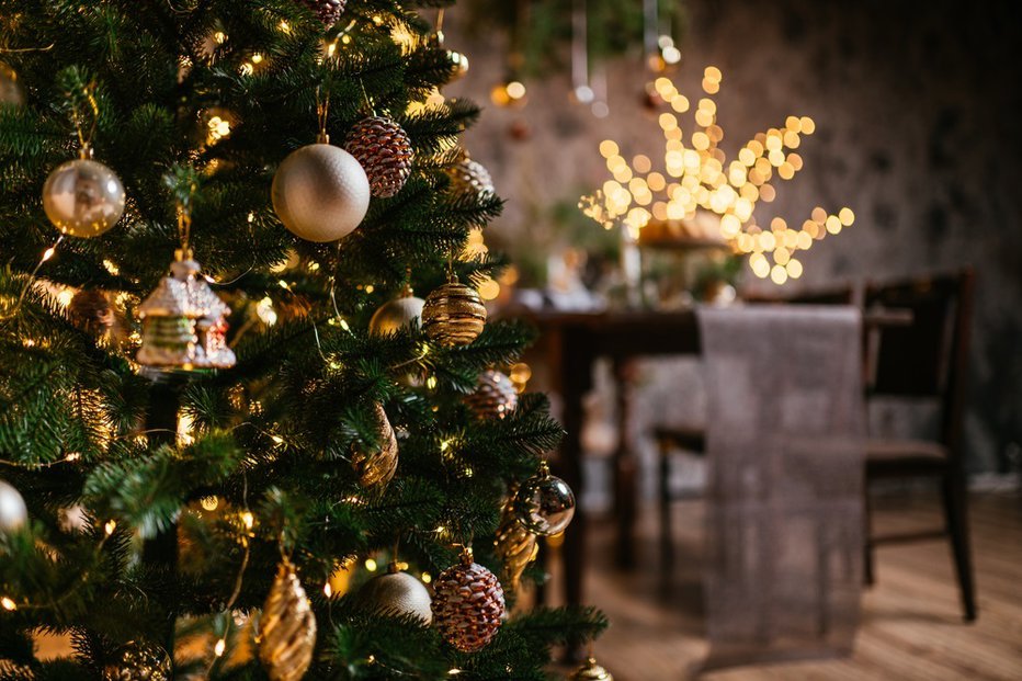 Fotografija: Stojalo za božično drevo je lahko zelo drago. FOTO: Irinaneva, Shutterstock
