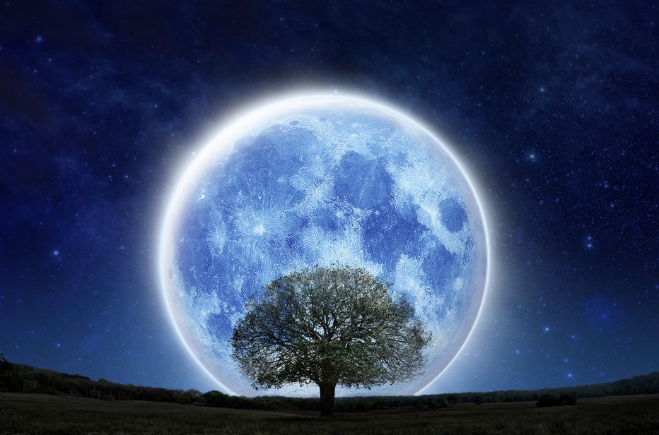 Fotografija: Progresirana Luna je v vsakem znamenju približno dve leti in pol, tudi v biku. FOTO: Somchaisom, Getty Images
