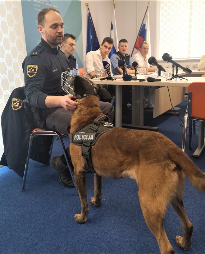 Tadej Jakop, policist in vodnik službenega psa, opozarja, da vsak pok živalim povzroča velik stres. Foto: Mojca Marot
