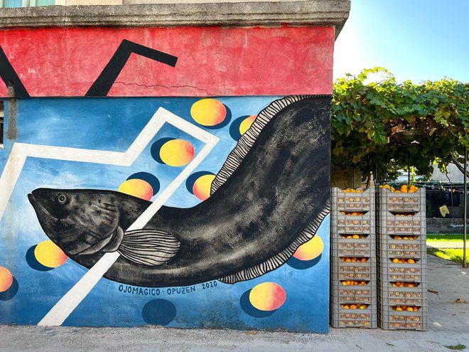 Opuzen je postal fantastična galerija na prostem, v mestu najdete kar 96 muralov. Foto: Danica Lovenjak

