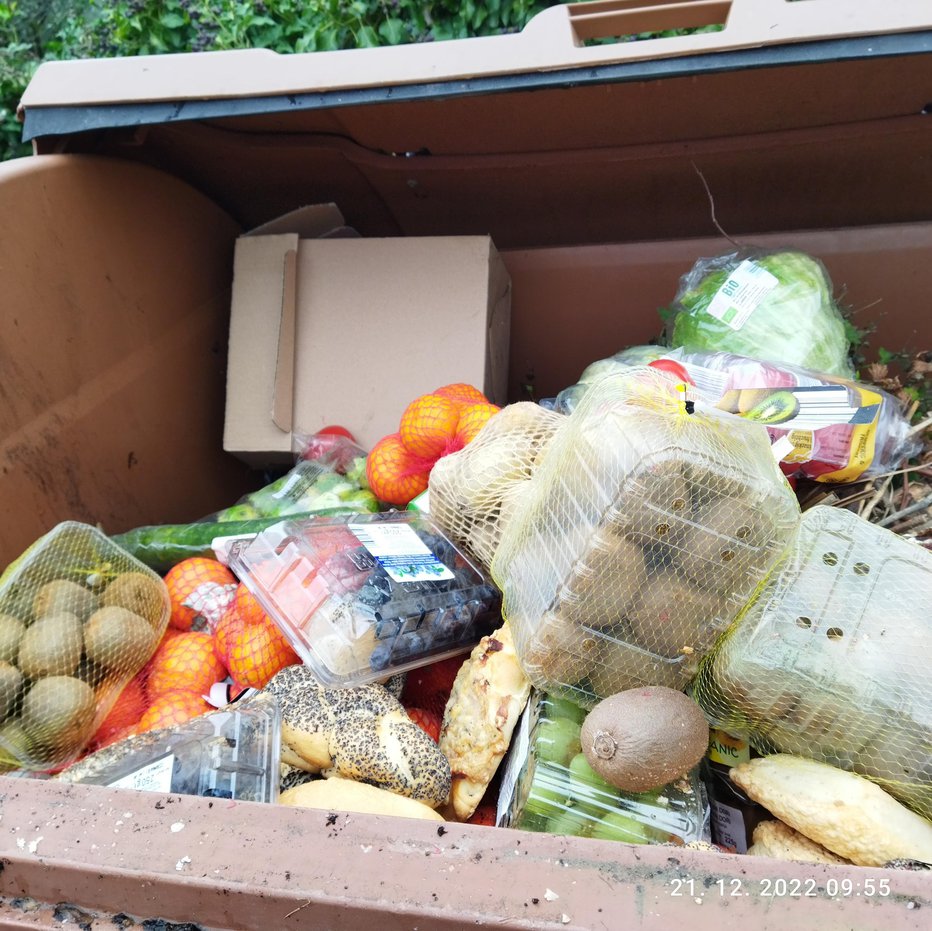 Fotografija: Sadje in zelenjava v smeteh. FOTO: Marija, bralka poročevalka
