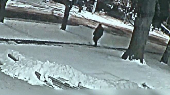 Varnostna kamera je v času umora v bližini hiše posnela neznanca. Shermanovih.
FOTO: Toronto Police
