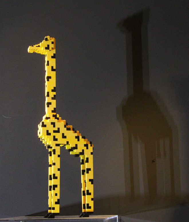 Izjemno redko žirafo so kupili na spletni dražbi. FOTO: Ciril I. Fon
