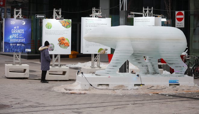 Ledeni kip je bil simbol pred dnevi končane konference o biodiverziteti COP15 v Montrealu. Foto: Christinne Muschi/Reuters
