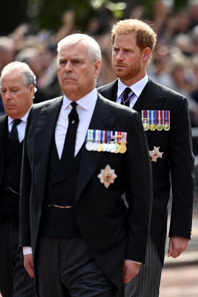 Črni ovci britanske kraljeve družine sta princa Andrew in Harry. FOTO: Kate Green/Reuters
