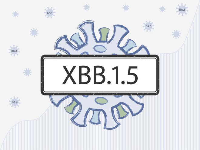 XBB.1.5 je v porastu. FOTO: Getty Images
