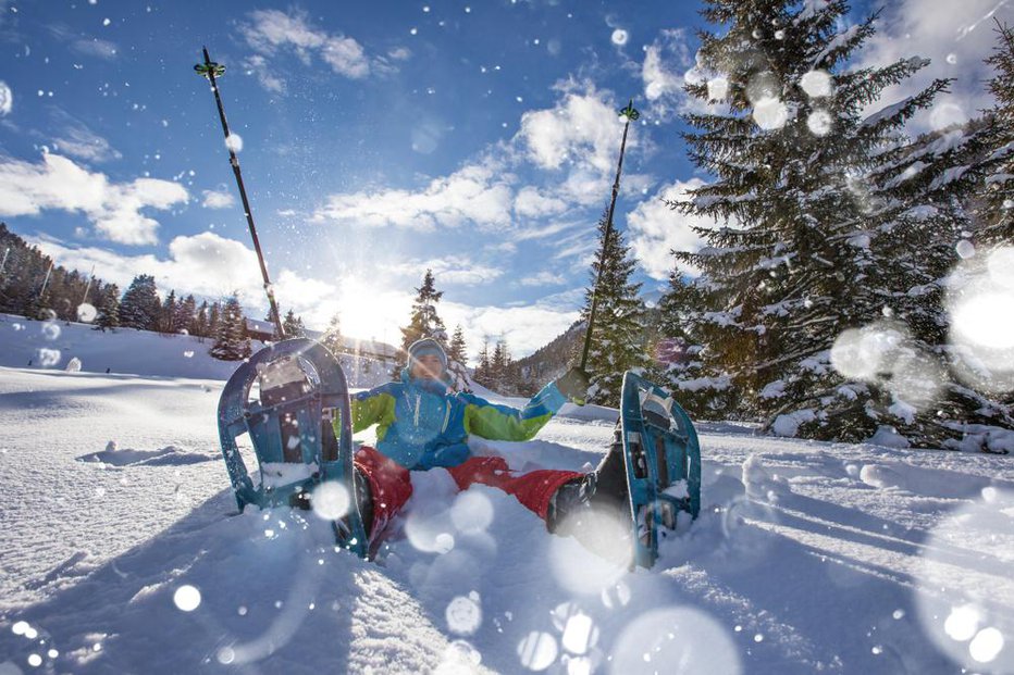 Fotografija: Najmanjše so narejene za hitrostna tekmovanja, nekoliko večje so rekreativne, primerne za nekaj kilometrov dolge pohode, največje pa so gorniške, narejene za dolge, tudi večdnevne pohode v globokem snegu. FOTO: Arhiv Polet/Shutterstock 
