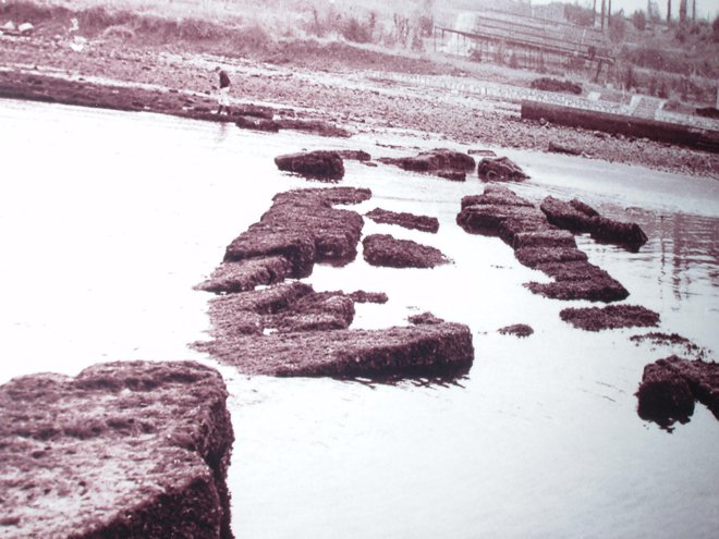 Rimski pomol v Simonovem zalivu ob oseki leta 1968 Foto: PMSM Piran
