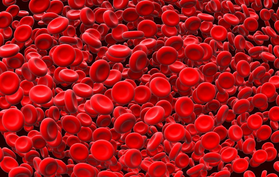 Fotografija: Hemoglobin je najpomembnejša sestavina eritrocitov. FOTO: Viktoriya Kabanova/Getty Images

