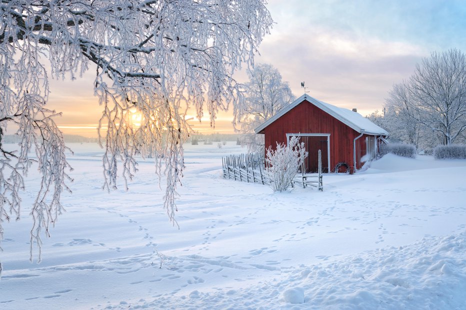 Fotografija: Zrak bo suh, zato bo sneg tudi v nižinah obstal, kar bo razveseljivo za počitniške radosti. FOTO: Finmiki Images/Getty Images
