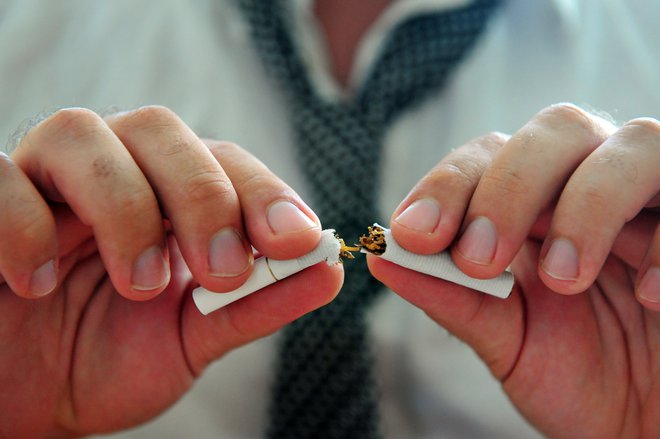 Tobak mori.  FOTO: Shutterstock 
