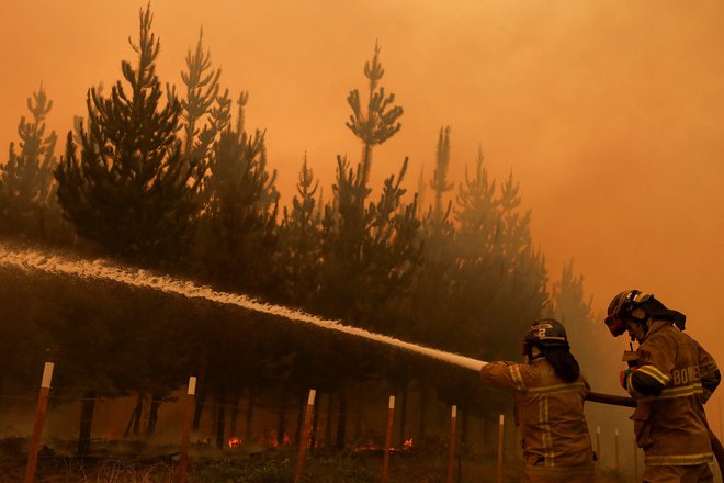 Gasilci, ki jim delo otežujejo vremenske razmere, se bojujejo proti gozdnim požarom.
