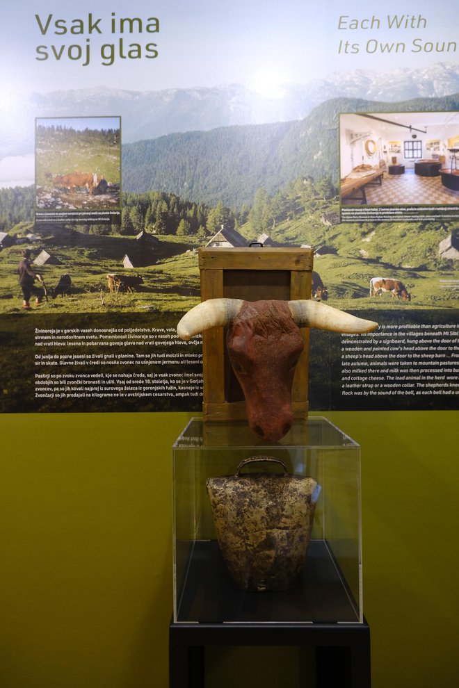 V preteklosti so imeli nad gorenjskimi hlevi obešene lesene kravje glave, okrašene s pravimi rogovi. FOTO: Špela Ankele
