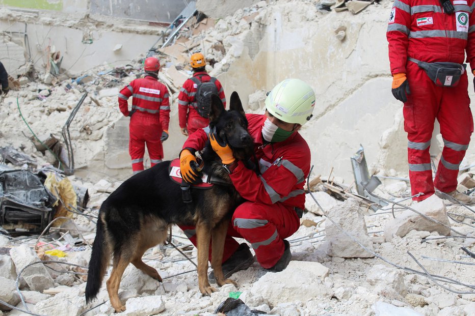 Fotografija: V Turčiji tudi reševalci in reševalni psi iz Slovenije. FOTO: Firas Makdesi, Reuters
