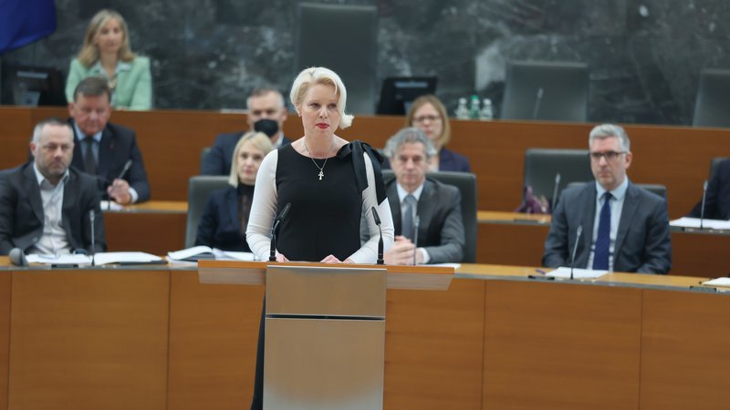 Fotografija: Predsednica DZ ob 31. obletnici izbrisa pozvala k razmisleku o noveliranju zakonov o izbrisanih. FOTO: Jože Suhadolnik/delo
