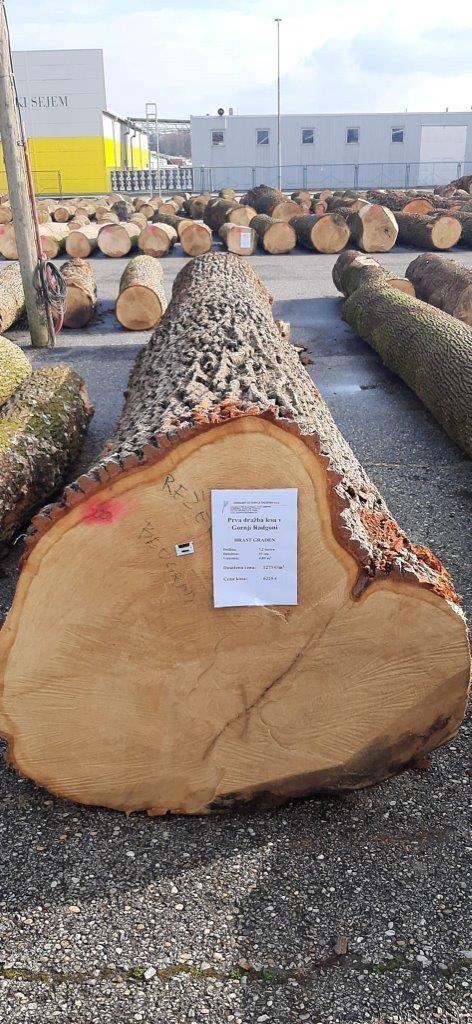 Sodelovalo je več kot sto lastnikov lesa. FOTO: Oste Bakal
