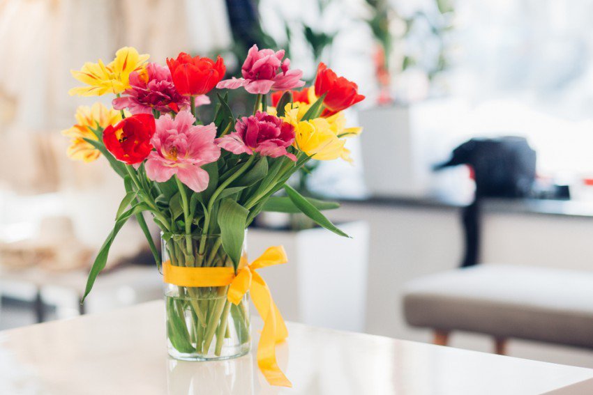 Fotografija: S svežnjem tulipanov podarimo razkošje. FOTO: Vladimir Trynkalo, Shutterstock
