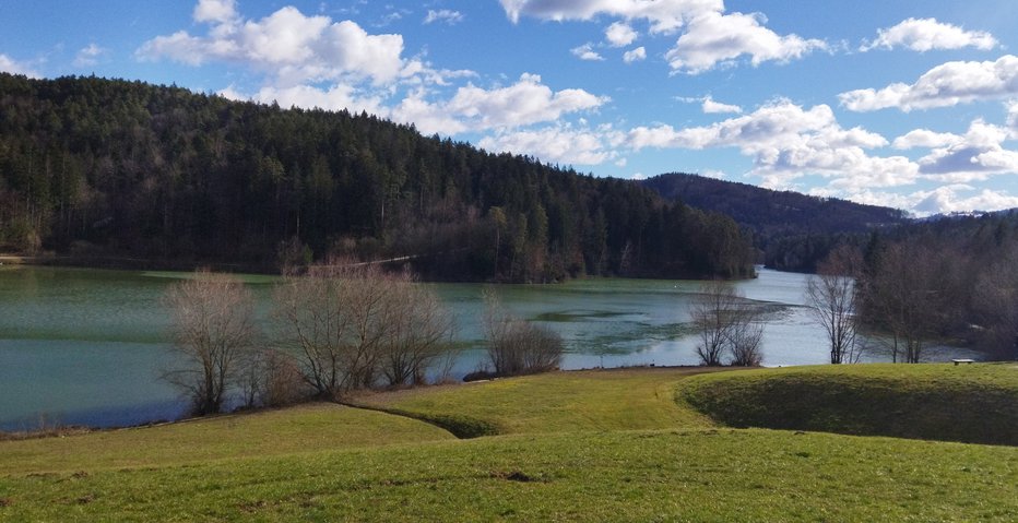 Fotografija: Pogled na jezero FOTOGRAFIJE: Janez Mihovec
