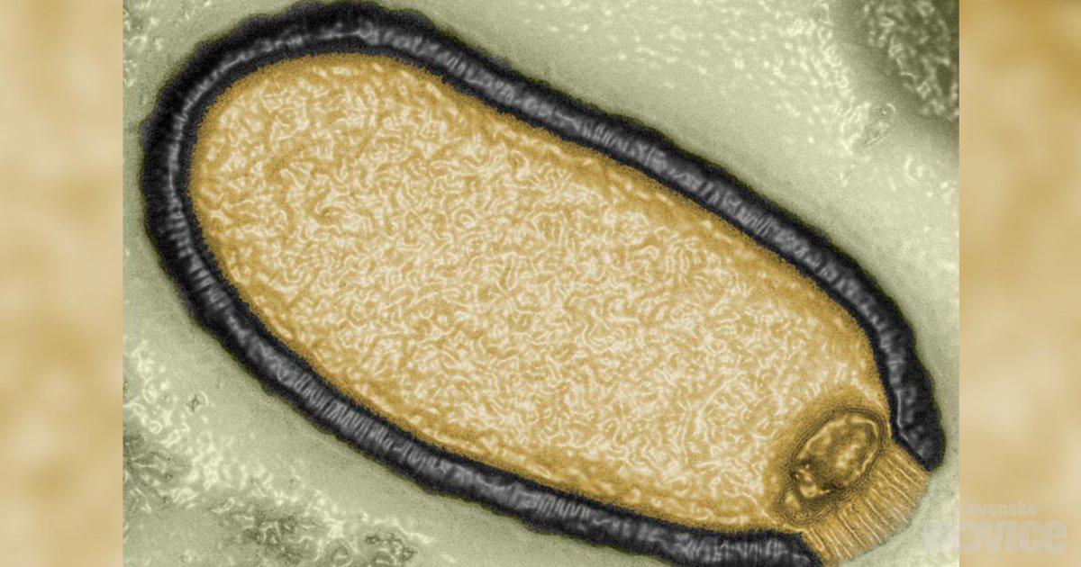 Un virus zombie vieux de 48 500 ans découvert, les scientifiques inquiets (VIDEO)
