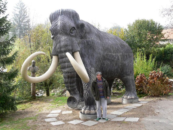 Kipar in mamut v Bistričici pri Stahovici Foto: Primož Hieng
