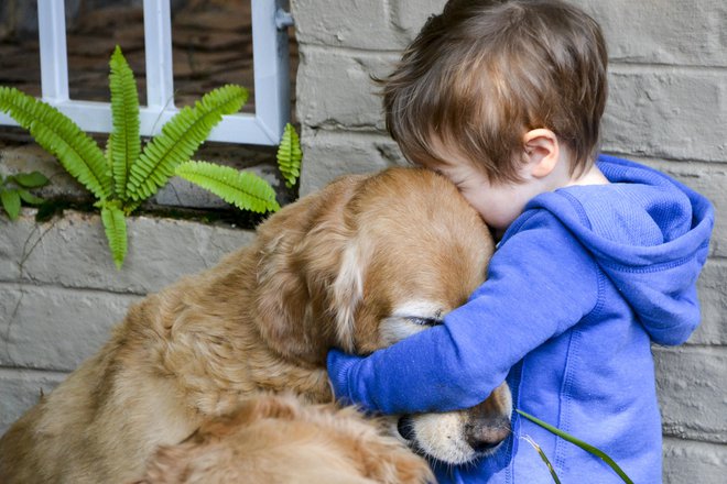 Otroci se naučijo odgovornosti, potrpežljivosti in sočutja. FOTO: Getty Images
