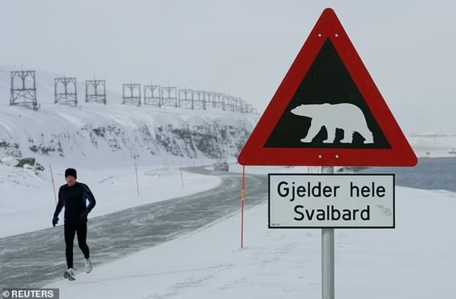 Fotografija: Misijo nemogoče je želel snemati v svetovni prestolnici severnih medvedov, na otočju Spitzbergi. FOTO: Reuters

