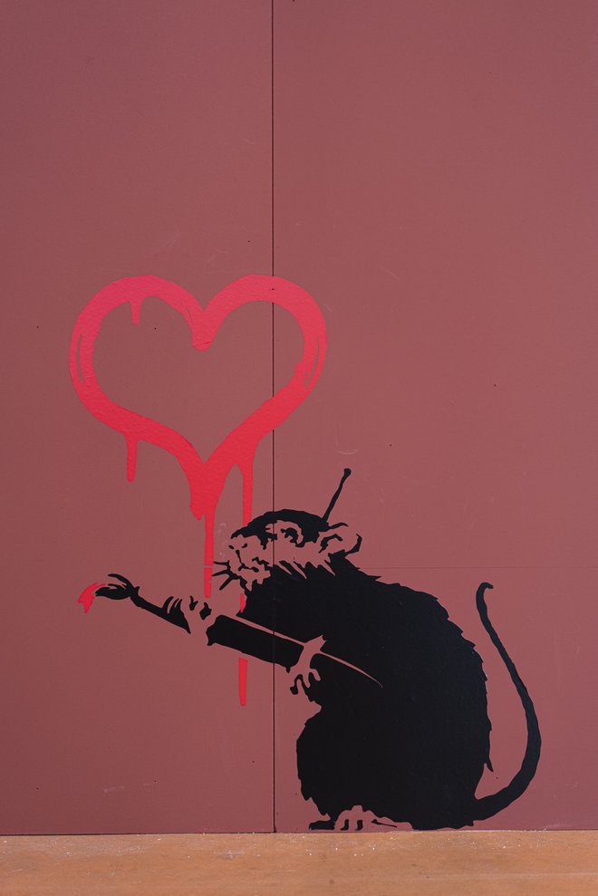 Podgana je ena od podob, s katerimi skrivnostni grafitar rad komunicira.