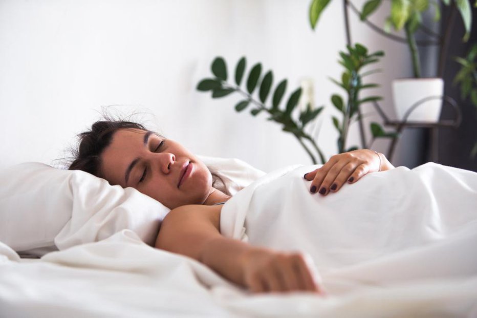 Fotografija: Nekatere lončnice lahko botrujejo boljšemu spancu. FOTO: Vera Petrunina, Shutterstock
