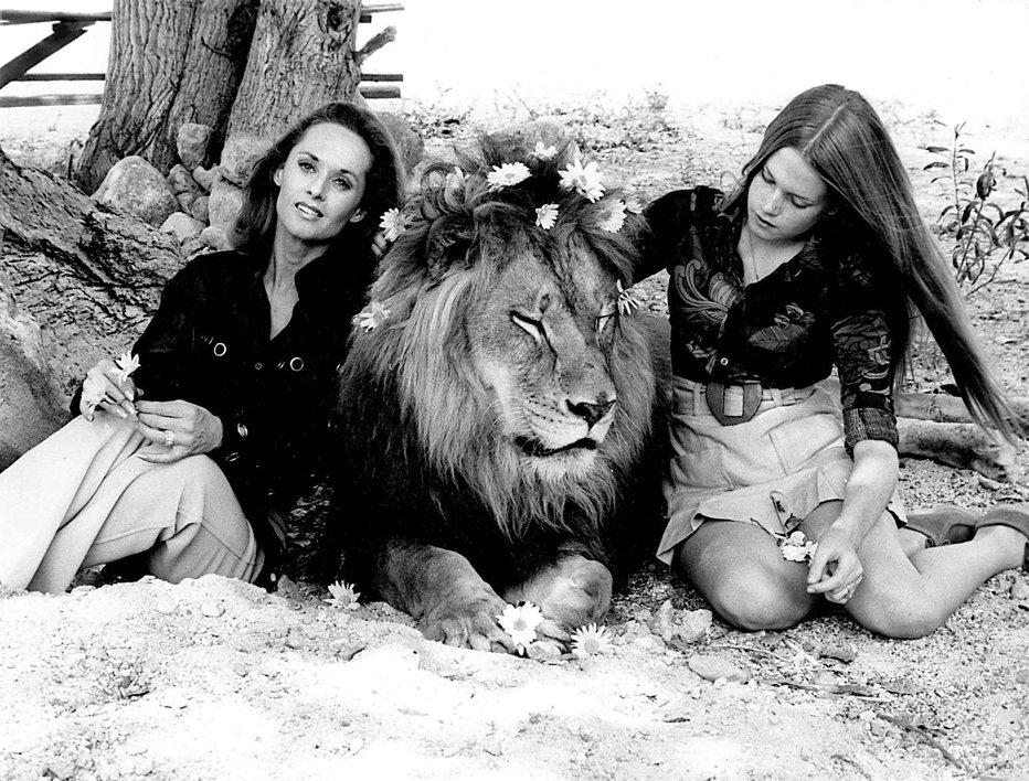 Fotografija: Hitchcockova muza Tippi Hedren je skupaj s hčerko Melanie Griffith živela v družbi leva Neila.
