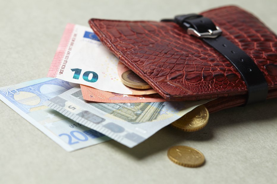 Fotografija: Koliko več evrov bo v vaši denarnici? Foto: Shutterstock