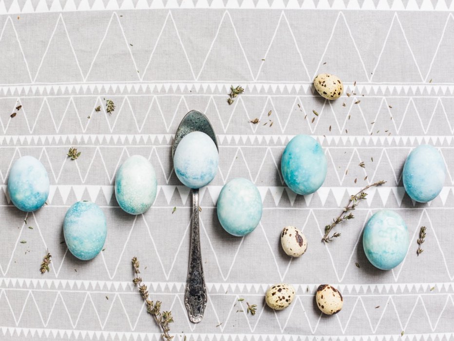 Fotografija: Pastelno modri pirhi

Neverjetne odtenke modrine dosežemo z barvanjem belih jajc v rdečem zelju. Prav zares!
