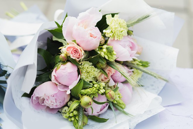 Potonike, nageljni, mini vrtnice in žito FOTO: Serenko Nata/Getty Images